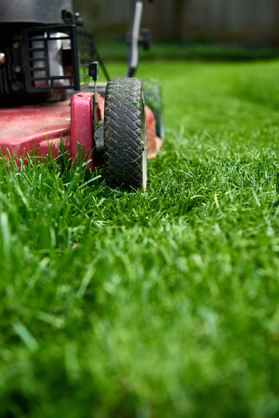 Best mower for online zoysia